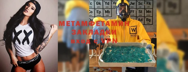 шишки Билибино