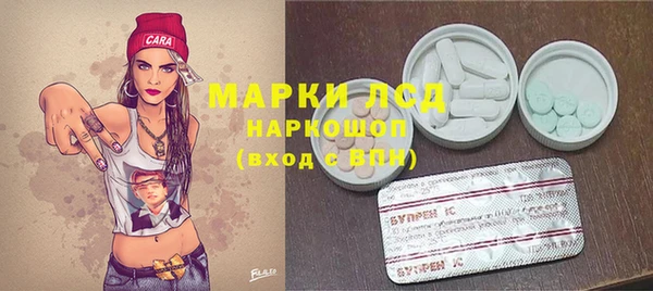 твердый Бикин