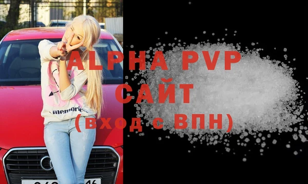 шишки Билибино