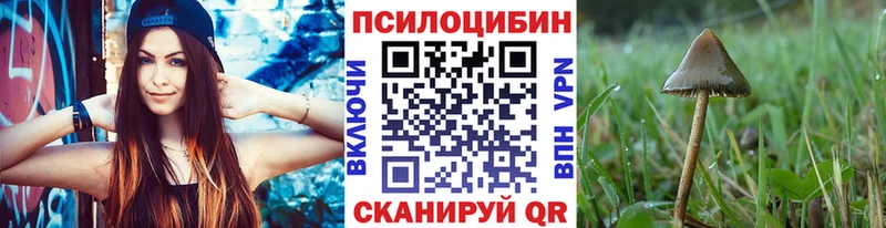 Галлюциногенные грибы Cubensis  что такое наркотик  Орлов 